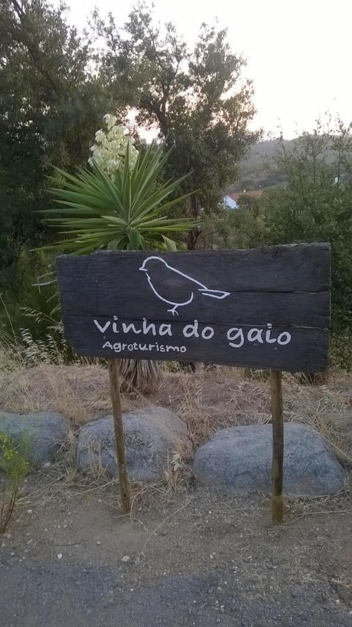 Vinha Do Gaio Villa Montes de Cima Luaran gambar