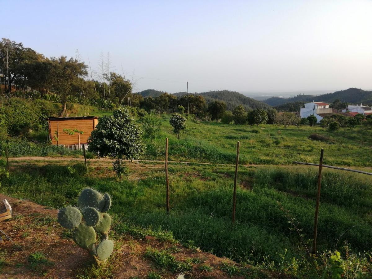 Vinha Do Gaio Villa Montes de Cima Luaran gambar