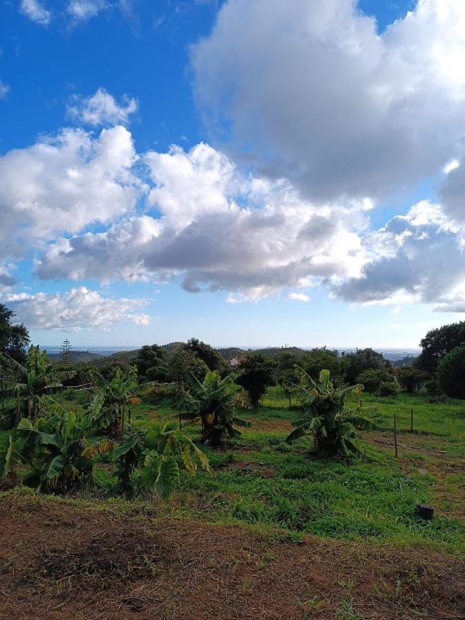 Vinha Do Gaio Villa Montes de Cima Luaran gambar